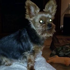 Meet your Posher, Sherry